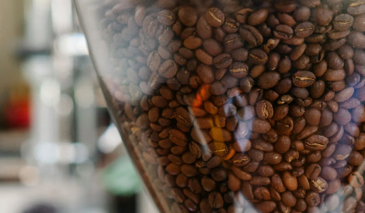 parhaat kahvipavut säiliössä