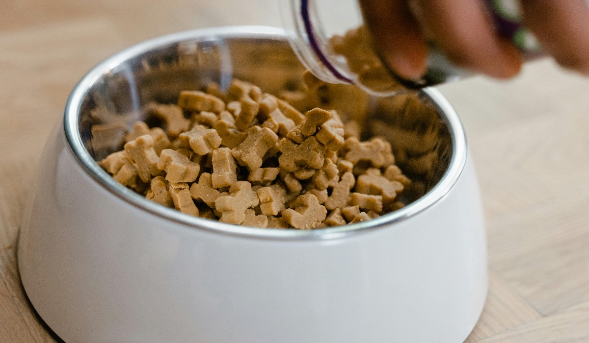 paras hypoallergeeninen koiranruoka