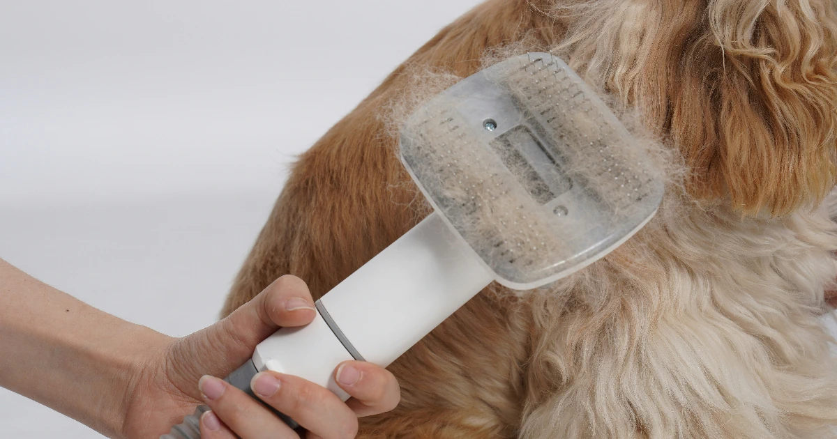 Paras pohjavillanpoistaja testi