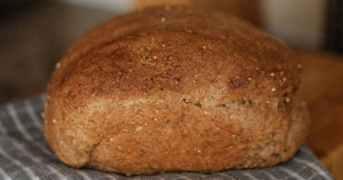 Paras leipäkone vertailu