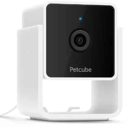 Petcube Cam lemmikkikamera kotiin