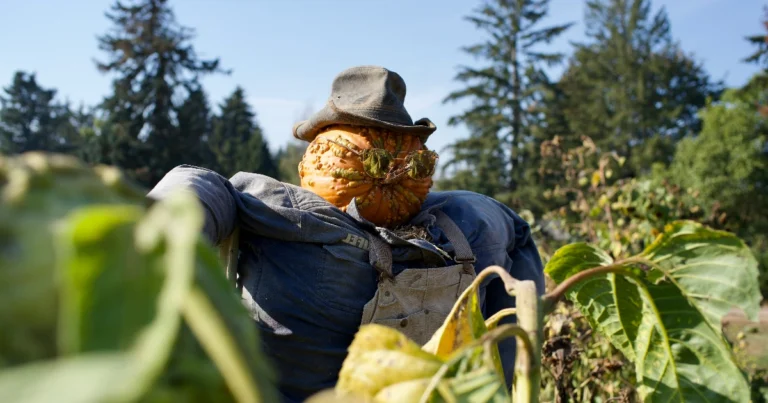 Paras linnunkarkotin testi
