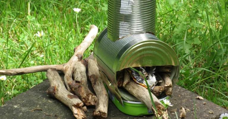 Paras risukeitin testi